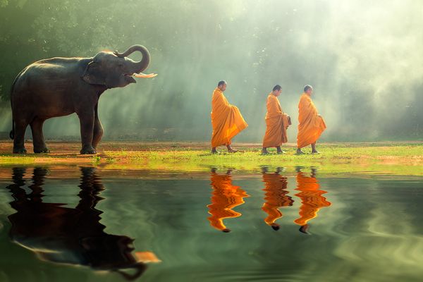 thailande,thailande voyage,thailande quand partir,thailande meteo,elephant